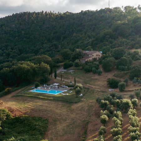 Agriturismo Le Valli Casciana Terme Kültér fotó