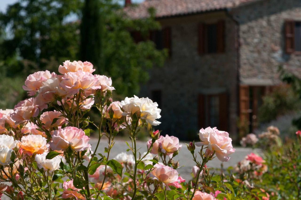 Agriturismo Le Valli Casciana Terme Kültér fotó